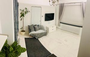 TV a/nebo společenská místnost v ubytování Luxury studio apartment, Beckenham