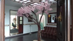 een boom met roze bloemen in een woonkamer bij Condominio Hacienda Shangrila in San Francisco