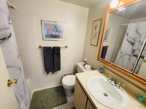 Elkins ParkにあるComfort 2br2ba Contact Us Discountの洗面台、トイレ、鏡のあるバスルーム +10枚の写真