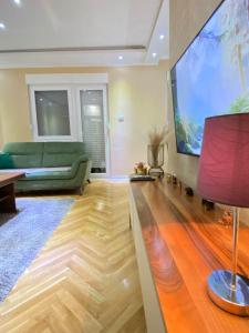 a living room with a green couch and a flat screen tv at Rustic Elegance Suite in Vrbas +3 photos