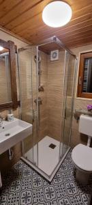 a bathroom with a shower and a toilet and a sink at Chalet Vito - Where Luxury Meets Tranquility in Gregurić Breg +44 photos