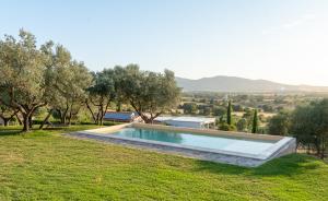 a swimming pool in the middle of a field with trees at Podere n°8 Agriturismo in Maremma in Alberese