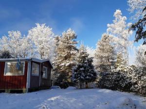 Το HAL112-Hishult-Hoegaholma-42 τον χειμώνα