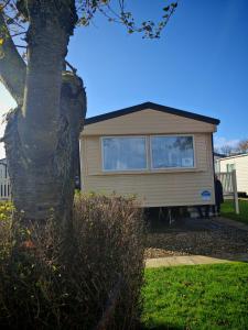 a yellow caravan is parked next to a tree at Primrose Valley Primrose field 4 in Filey