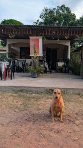 a brown dog sitting in front of a patio at Hospedagem Tia Lene Pacoval Soure in Soure