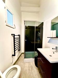 Un baño con ducha, inodoro y lavabo. en Luberno studio lumineux parking inclus, en Cavaillon