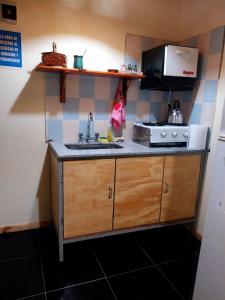 a small kitchen with a sink and a microwave at La casa de las flores in Las Heras +3 photos
