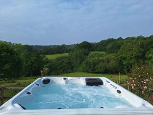 a jacuzzi tub in a yard with trees at Hogchester Cottage in Bridport