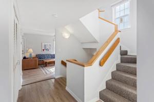 Ảnh trong thư viện ảnh của CAC-23B - Zebrafish ở Buxton