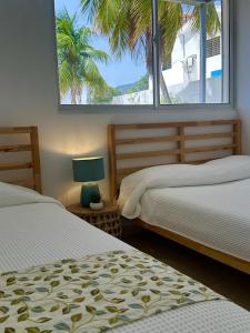 1 dormitorio con 2 camas y una ventana con una palmera en Front Beach Villa, Pool & Basket, 