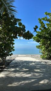 una carretera que conduce a una playa con árboles. en Front Beach Villa, Pool & Basket, 