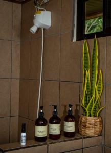 a shelf with four bottles of soap and a plant at Paradise Views Awaits, King Bed, Hot-Tub in Quebradas