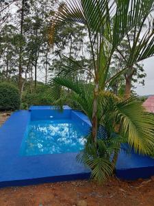 a blue pool with a palm tree next to it at Paradise Views Awaits, King Bed, Hot-Tub in Quebradas