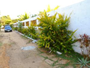 a car parked next to a wall with trees at Pousadinha Mangabeiras II in São Mateus +7 photos