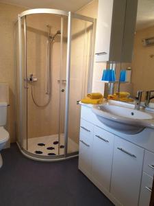 a bathroom with a shower and a sink at Bio Hof Brudersrüti in Schwarzenberg +10 photos