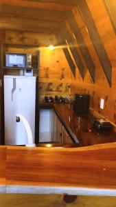 カンポ・アレグレにあるChalé do lagoのキッチン(冷蔵庫、カウンタートップ付)