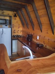 カンポ・アレグレにあるChalé do lagoの木製の壁のキャビンのキッチン