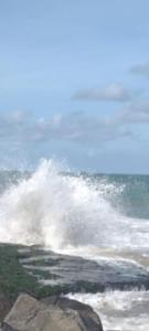 Φυσικό τοπίο κοντά σε αυτό το hostel