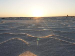 Loodusmaastik apartemendi lähedal +14 fotot