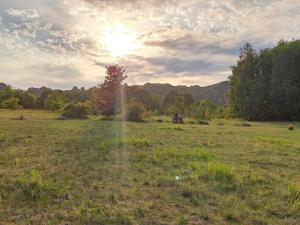 a field of grass with the sun in the sky at 4 person holiday home in Haderslev-By Traum in Diernæs +13 photos