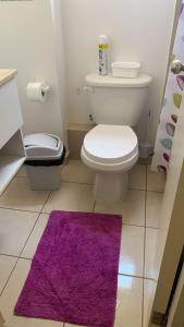 a bathroom with a white toilet and a purple rug at Departamento Costa Algarrobo Norte in Mirasol