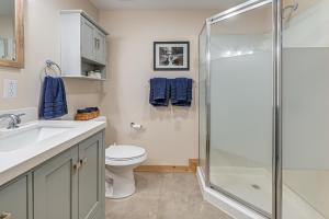 BradfordUltimate Relaxation! Lake-View Cottage in Bradford的带淋浴、马桶和水槽的浴室 更多16张照片