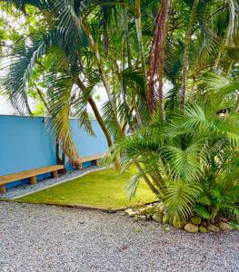 a couple of palm trees next to a bench at Recanto Monte Trigo in São Francisco do Sul