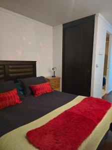 ein Schlafzimmer mit einem Bett mit einem roten Teppich darauf in der Unterkunft H de Santiago in Santiago