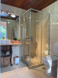 a bathroom with a shower with a toilet and a sink at Casa dos Invernos in Paçô +30 photos