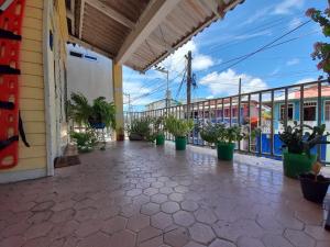 a building with potted plants on a patio at Ann Dor #3 in San Andrés