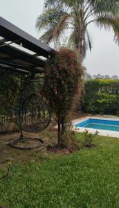 Un jardín con un árbol y un columpio junto a una piscina. en Hermosa casa amoblada en barrio privado, en Yerba Buena