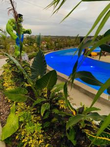 a view of a swimming pool from a resort at Complejo Turístico Tierra Dorada in Manta