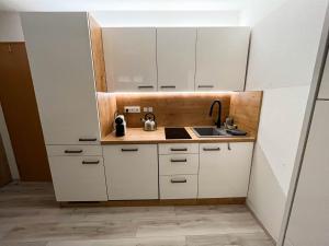 a small kitchen with white cabinets and a sink at Appartement Bayerisch Eisenstein in Bayerisch Eisenstein