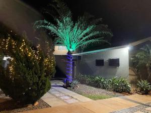 a palm tree decorated with lights in a yard at night at Studio aconchegante - Próx Thermas - Carrara de Carrara in Andradina