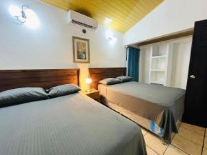 Postel nebo postele na pokoji v ubytování Villas Don Julio