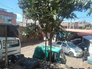 een man die naast een auto en een boom staat bij Mini departamento con cochera in Ayacucho