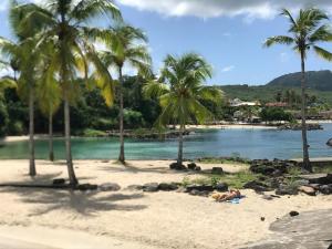 a woman laying on a beach with palm trees at Escale Marine à deux pas des plages et de la Marina in Les Trois-Îlets