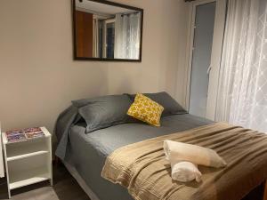 een bed in een slaapkamer met een spiegel aan de muur bij Puerto Montt Centro - Diagonal Germania in Puerto Montt