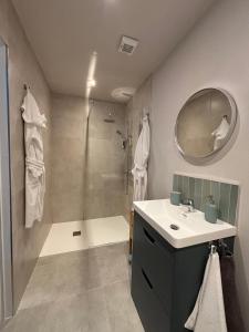 a bathroom with a shower and a sink and a mirror at apartment cavan in Cavan