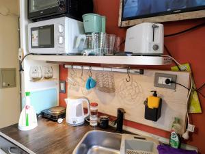 a kitchen counter with a sink and a microwave at Microbed in Cipolletti