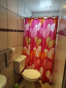 a bathroom with a toilet and a shower curtain at Microbed in Cipolletti