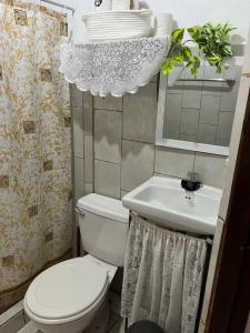 a bathroom with a toilet and a sink at El Jardín de Tere in Bijagua