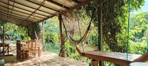 Zahrada ubytování Mirador Jungle El Macuti