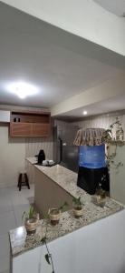 a kitchen with a counter with potted plants on it at Shanti House Geribá in Búzios +1 photo