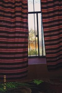 ein Fenster mit Vorhängen in einem Zimmer mit Aussicht in der Unterkunft Homestay Cordillera Blanca in Monterrey