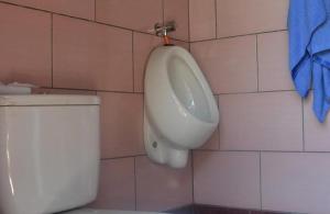ein Badezimmer mit einem Urinal an der Wand neben einer Toilette in der Unterkunft Homestay Cordillera Blanca in Monterrey