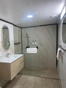 Un baño con ducha con lavabo y espejo. en Airway Motel, en Brisbane