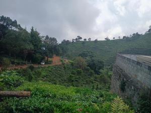 un point de vue pédagogique dans l'établissement Varshini home stay, à Kotagiri