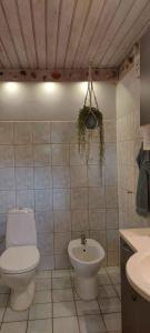 a bathroom with a toilet and a sink at Hyggelig Hus Nær Arrild Ferieby in Arrild +15 photos