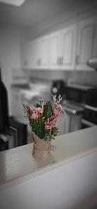 Gallery image of Aparta hotel del centro in Filandia